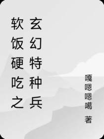特种兵穿越：大姐姐喜欢我？