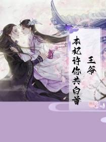 王爷,本妃许你共白首