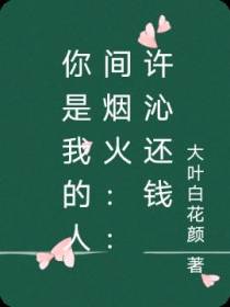 你是我的人间烟火：：许沁还钱