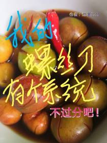 我的螺丝刀有个系统,不过分吧！