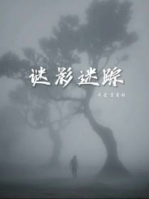 谜影迷踪