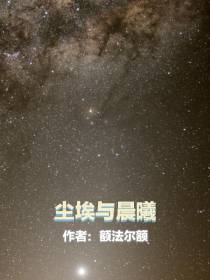 尘埃与晨曦