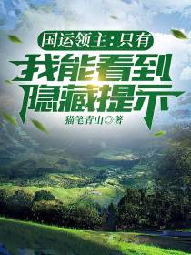 国运领主：只有我能看到隐藏提示