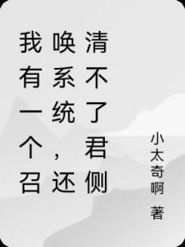 我有一个召唤系统,还清不了君侧
