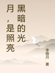 月,是黑暗的光