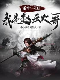 重生三国：我是赵云大哥