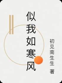 似我如寒风