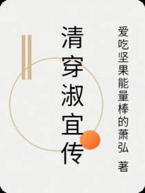 清穿淑宜传