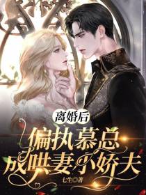 离婚后,偏执慕总成哄妻小娇夫