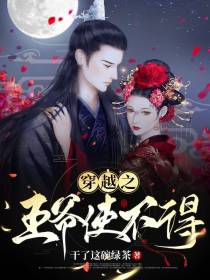 穿越之王爷使不得