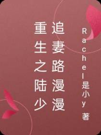 重生之陆少追妻路漫漫
