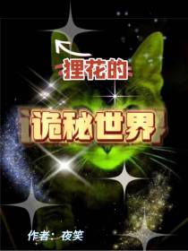狸花的诡秘世界