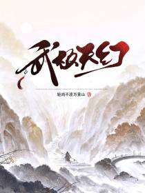 武极天幻