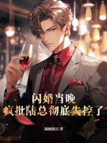 闪婚当晚,疯批陆总彻底失控了