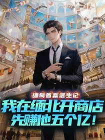 我在缅北开商店,先赚他五个亿！