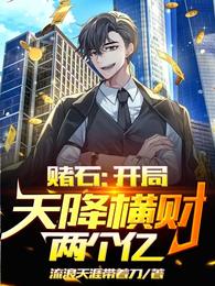 赌石：开局天降横财两个亿浪迹天涯带着刀