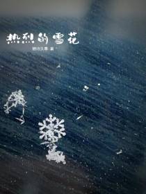 热烈的雪花