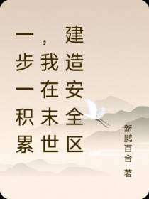一步一积累,我在末世建造安全区