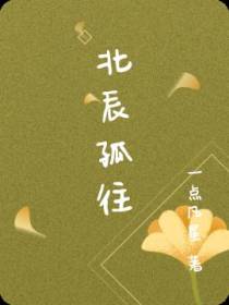 北辰孤往