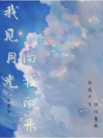 我见月光向我而来