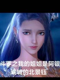 斗罗之我的姐姐是阿银