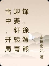 雪中,迎娶轩辕青锋,徐渭熊抢亲
