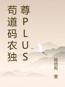 苟道码农独尊plus