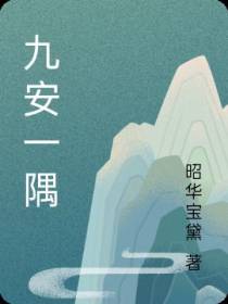 九安一隅
