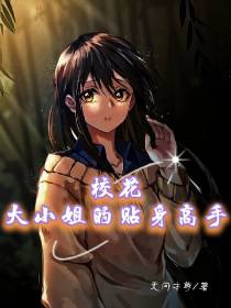 校花大小姐的贴身高手