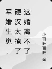 军婚生崽,硬汉太撩了这婚离不了