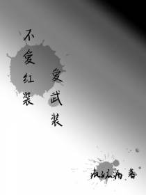 不爱红装爱武装