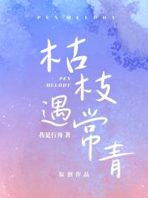 枯枝遇常青