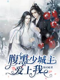 腹黑少城主爱上我