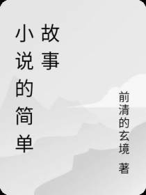 小说的简单故事
