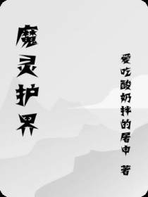 魔灵护界