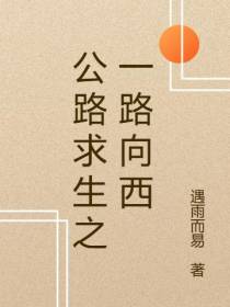 公路求生之一路向西