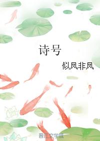 全能狂婿