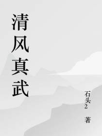 清风真武