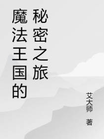 魔法王国的秘密之旅