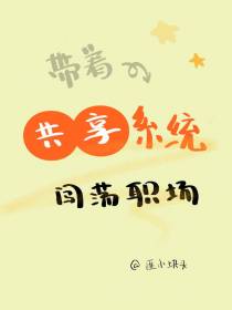 带着共享系统闯荡职场