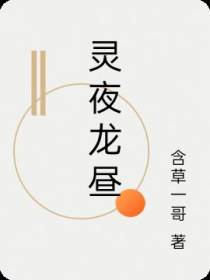 灵夜龙昼