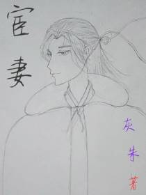 宦妻