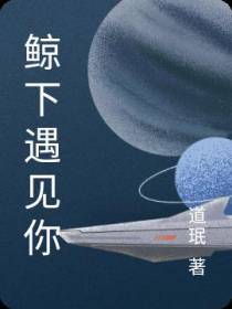 鲸下遇见你