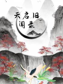 天启旧闻录