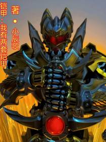 铠甲：我有两套铠甲