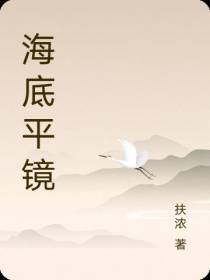 海底平镜