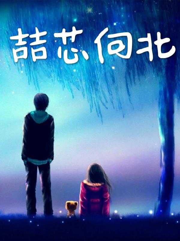 喆芯向北