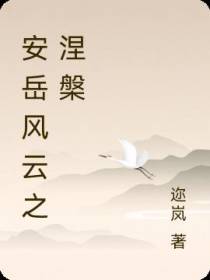 安岳风云之涅槃