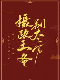 摄政王爷别太宠