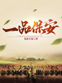 一品保安